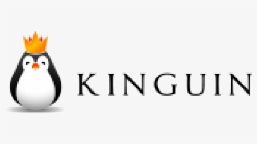 Kinguin UK Coupon Codes
